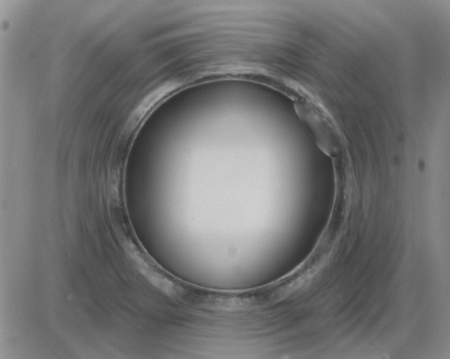 X0000085301273200703231849