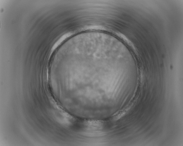 X0000085301274200703231849