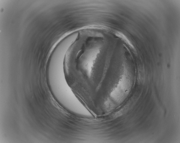 X0000085301276200703231849