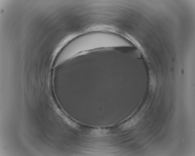 X0000085301277200703231849