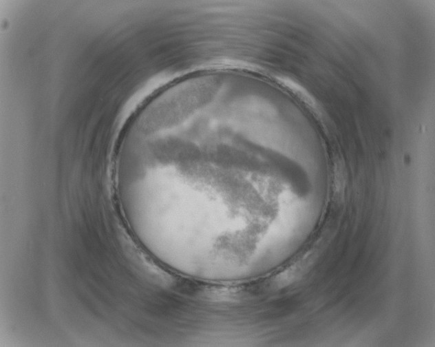 X0000085301278200703231849