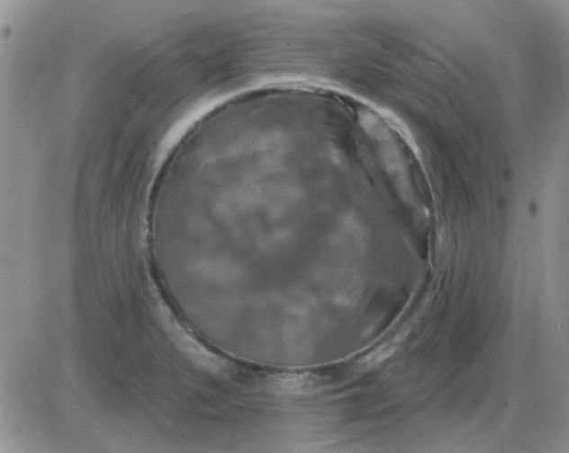 X0000085301279200703231849