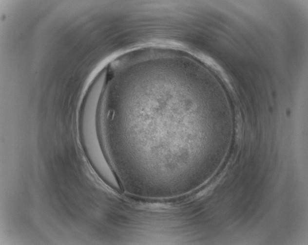 X0000085301280200703231849