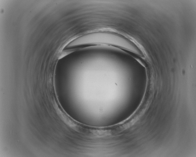 X0000085301281200703231849