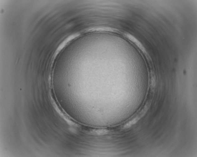 X0000085301282200703231849