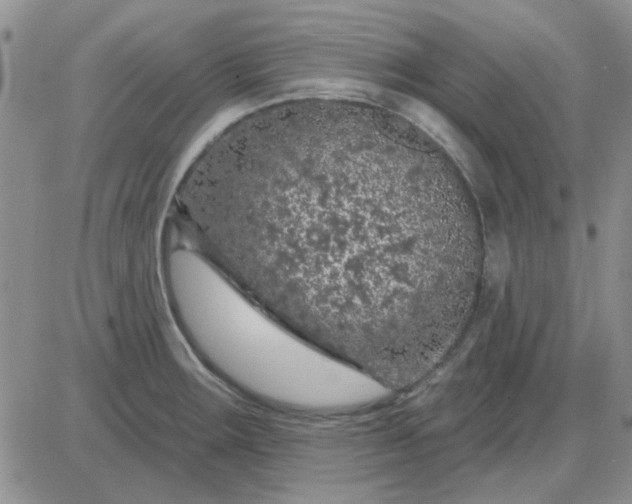 X0000085301283200703231849