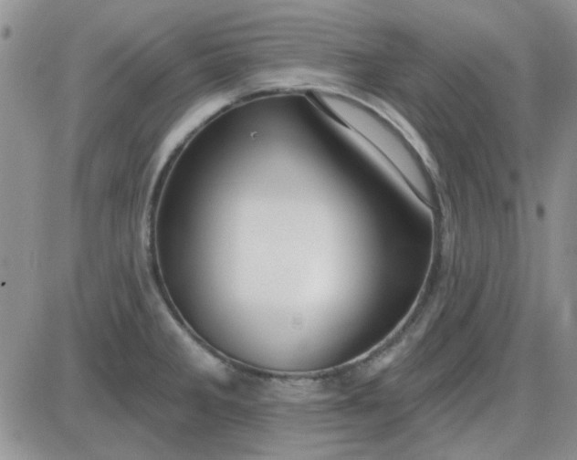 X0000085301285200703231849