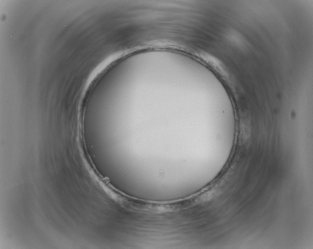 X0000085301286200703231849