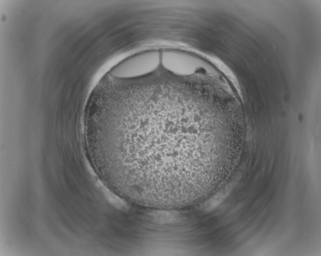 X0000085301287200703231849