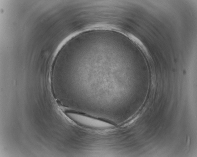 X0000085301288200703231849