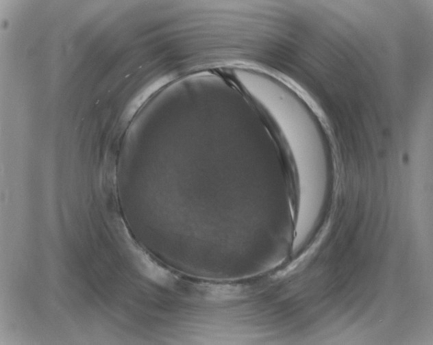 X0000085301289200703231849