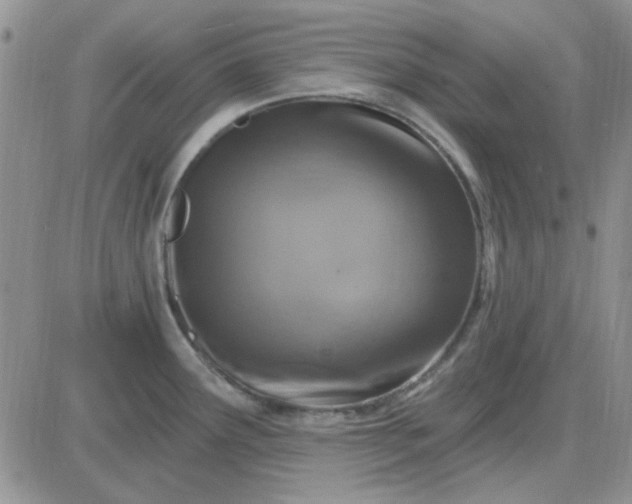 X0000085301291200703231849