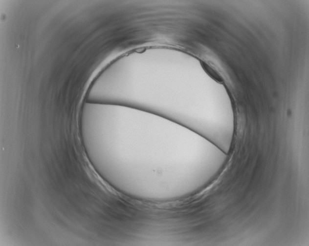 X0000085301292200703231849