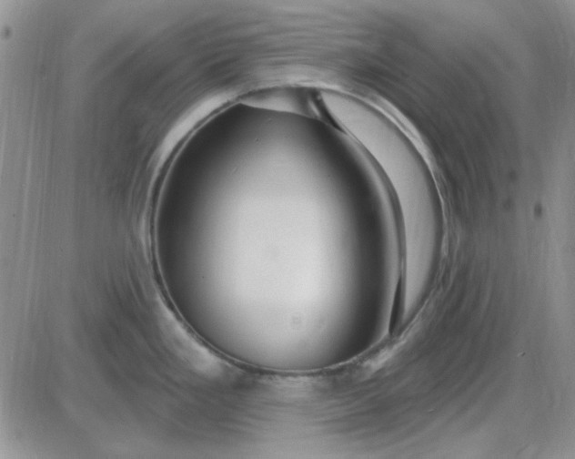 X0000085301293200703231849