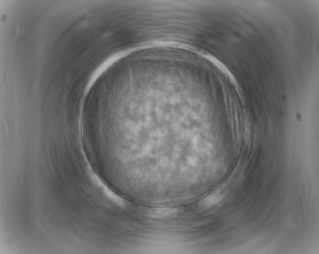 X0000085301294200703231849