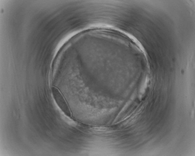 X0000085301295200703231849