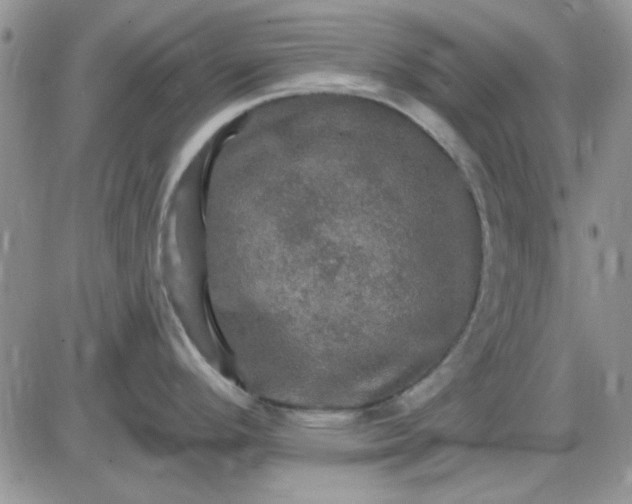 X0000085301296200703231849