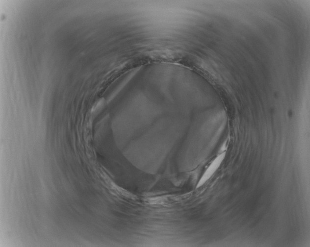 X0000085301297200703231848