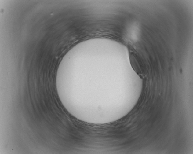 X0000085301298200703231848