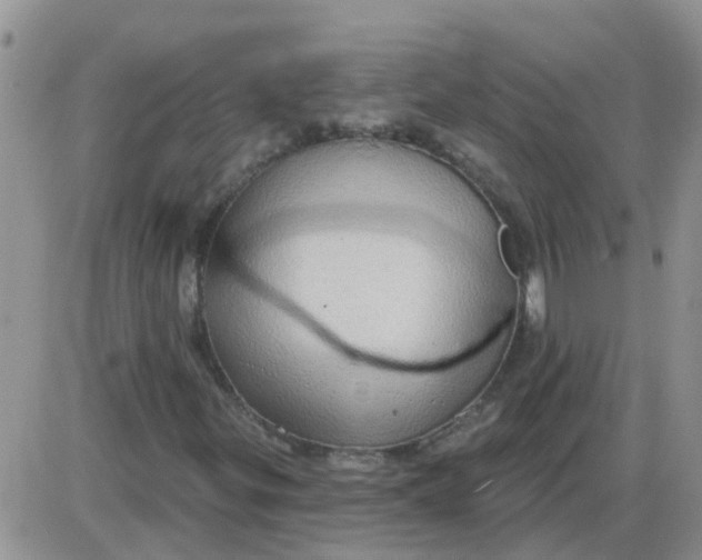 X0000085301299200703231848