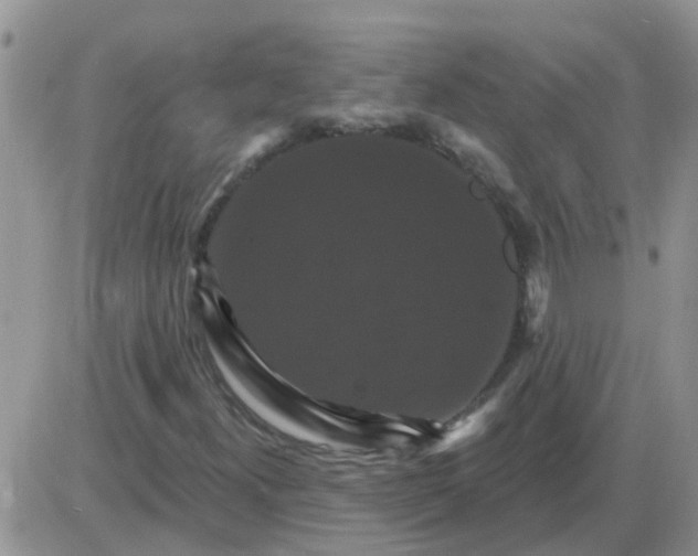 X0000085301300200703231848