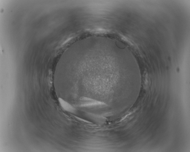 X0000085301301200703231848