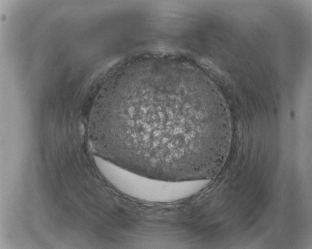 X0000085301302200703231848