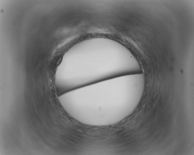 X0000085301303200703231848