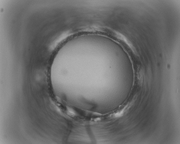 X0000085301304200703231848