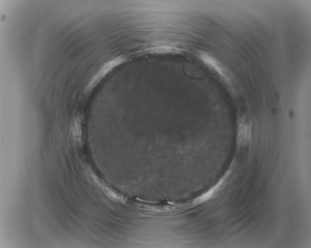 X0000085301305200703231848