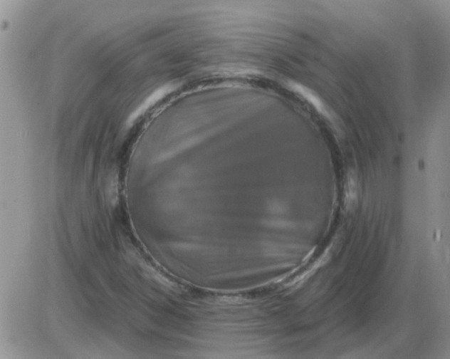 X0000085301306200703231848