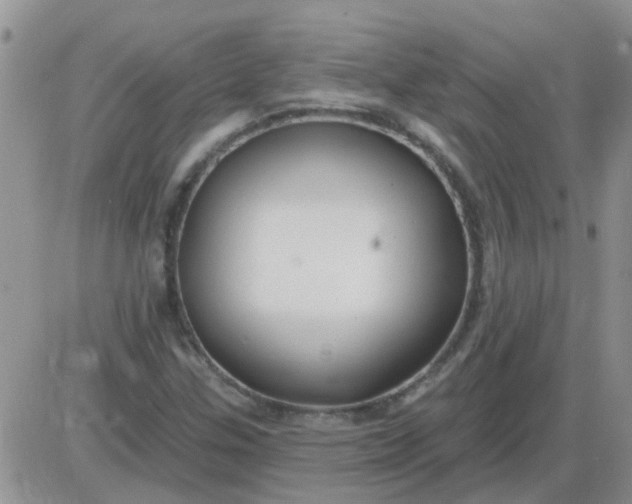 X0000085301307200703231848