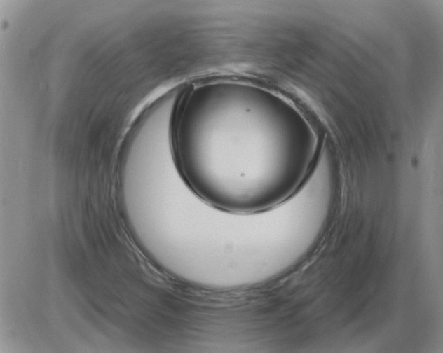 X0000085301308200703231848