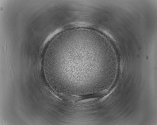 X0000085301309200703231848