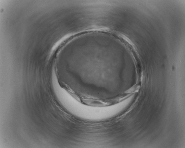 X0000085301310200703231848