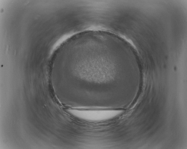 X0000085301311200703231848