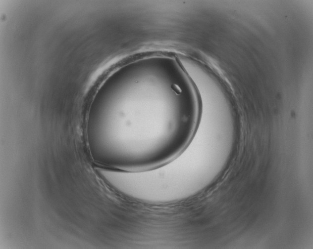 X0000085301312200703231848