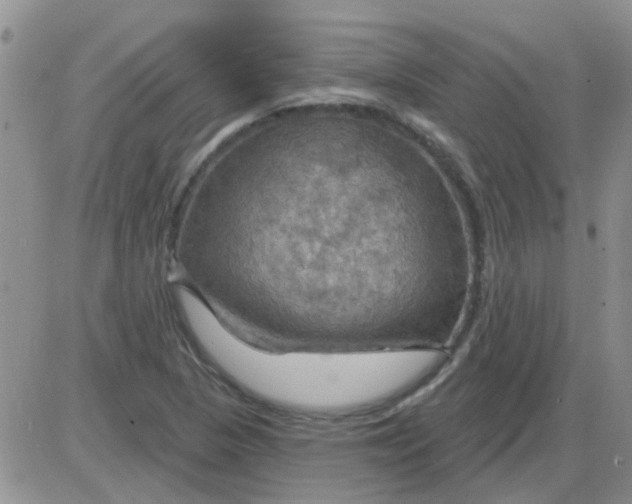 X0000085301313200703231848