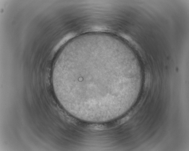 X0000085301314200703231848