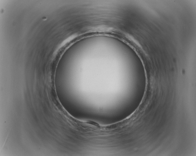 X0000085301315200703231848