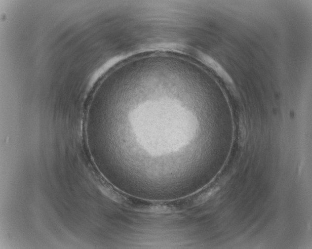 X0000085301316200703231848