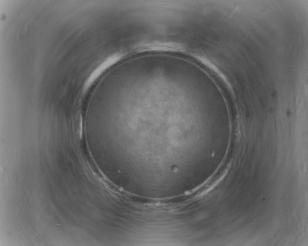 X0000085301317200703231848