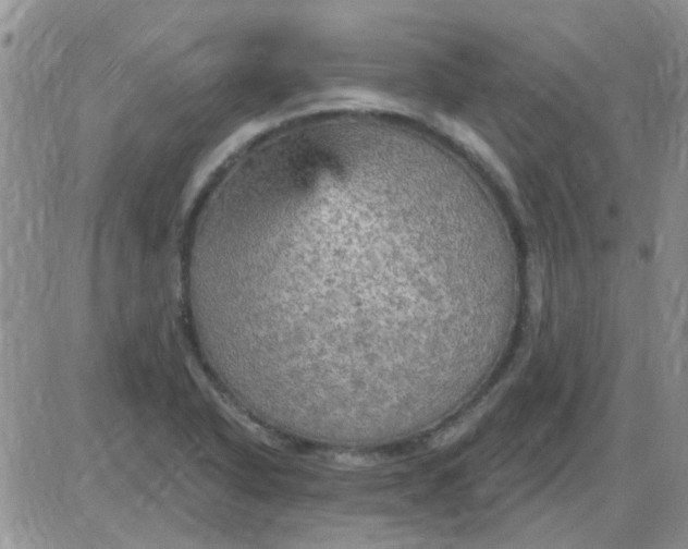 X0000085301318200703231848