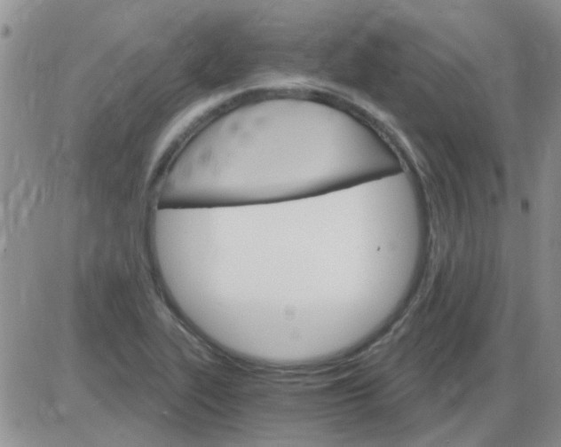 X0000085301319200703231848