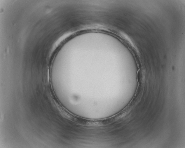 X0000085301320200703231848