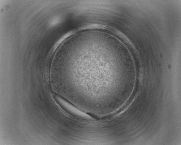 X0000085301321200703231848