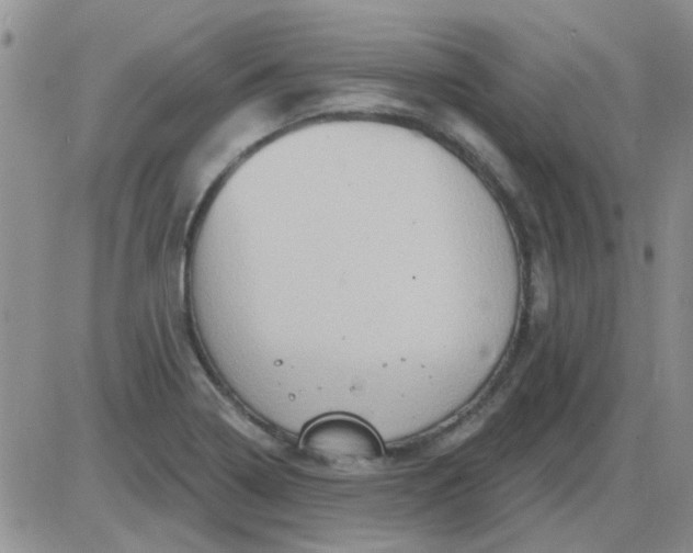 X0000085301322200703231848