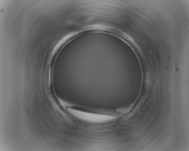 X0000085301323200703231848