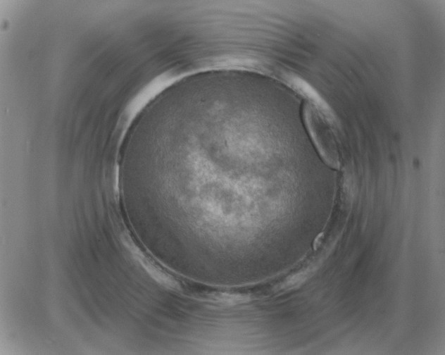 X0000085301324200703231848