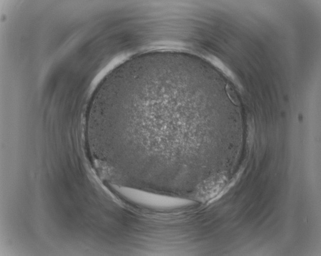 X0000085301325200703231848